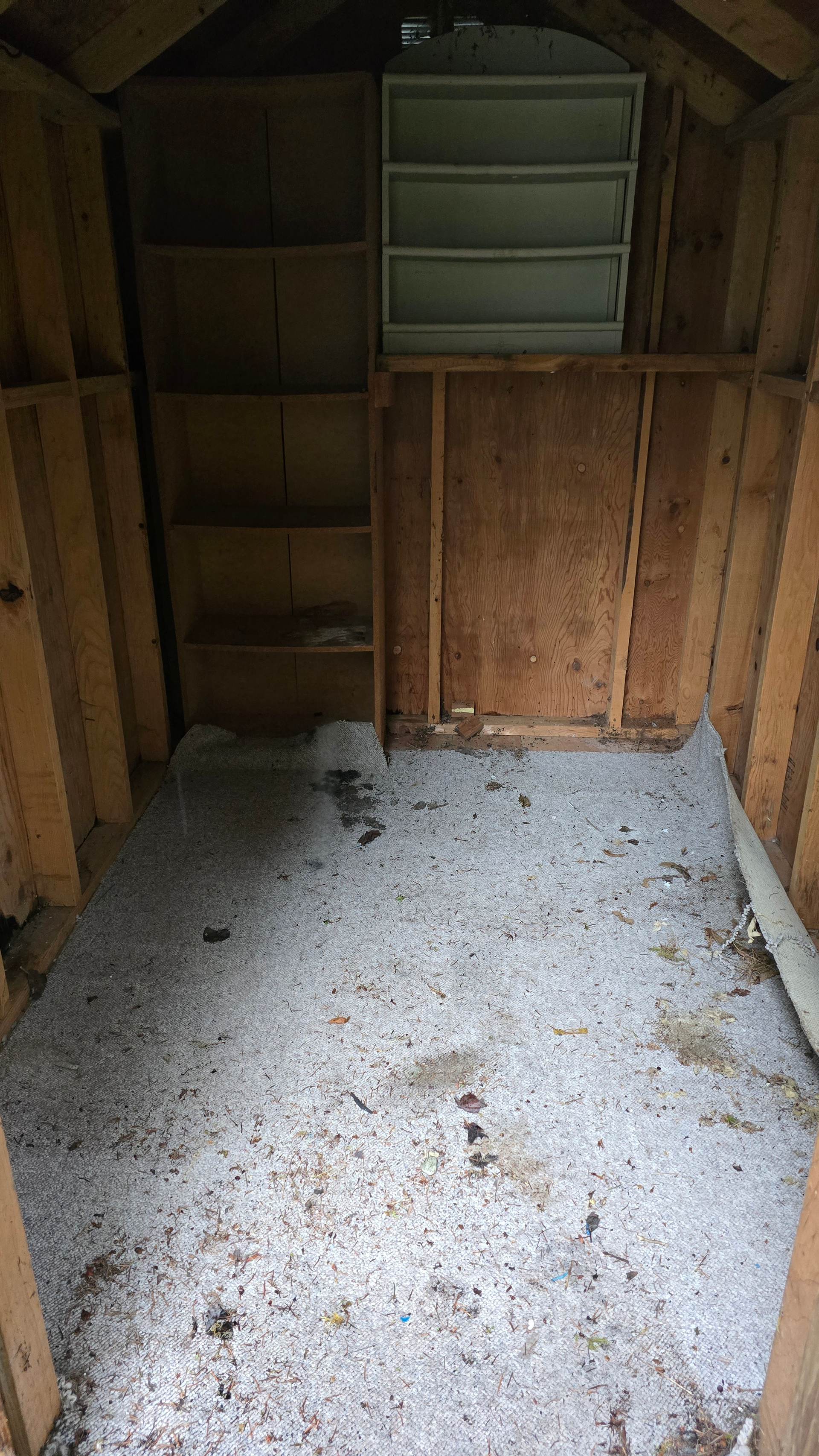 junk removal, tenant cleanout, property manager