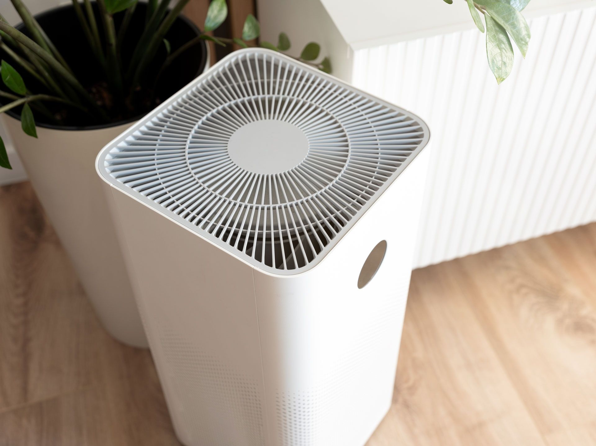 White air purifier on wooden floor, next to a potted plant and a white textured wall.