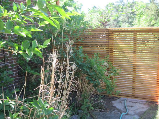 A wooden fence is surrounded by tall grass and trees