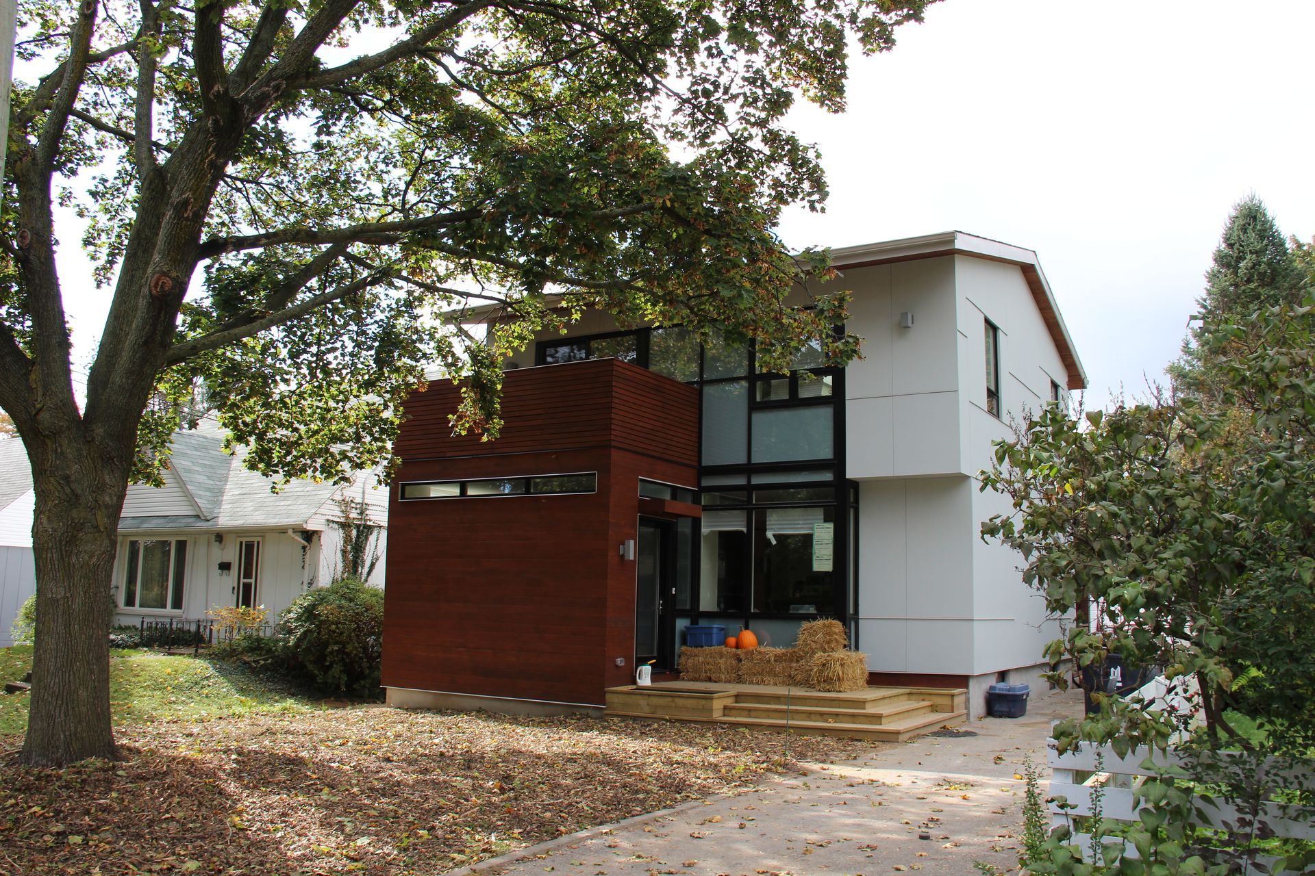 A house with a lot of windows and a tree in front of it