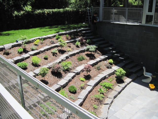 A fence surrounds a lush green garden with stairs leading up to it