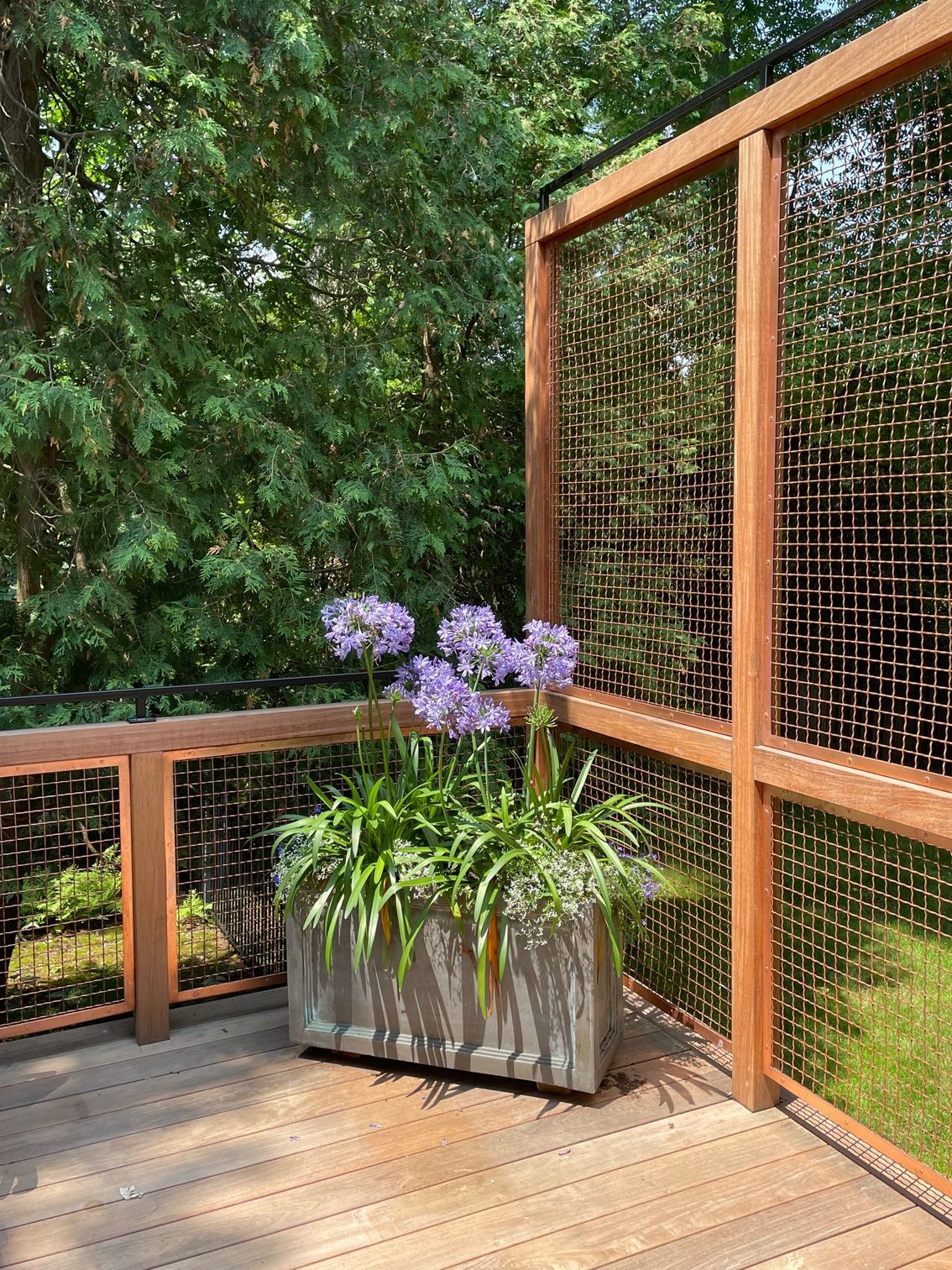 A planter filled with purple flowers is sitting on a wooden deck next to a wooden fence.