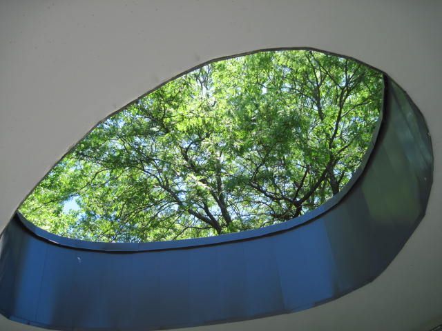 A tree is reflected in a window in a building