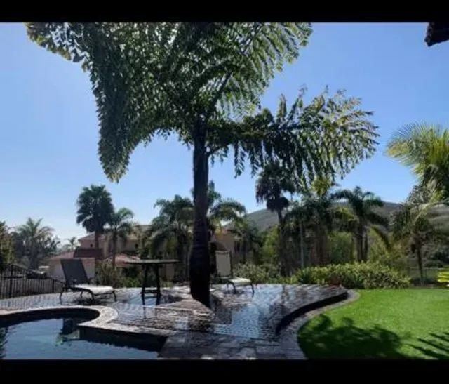 Backyard with pool, palm tree, and clear blue sky. Lounge chairs, table, and green lawn.