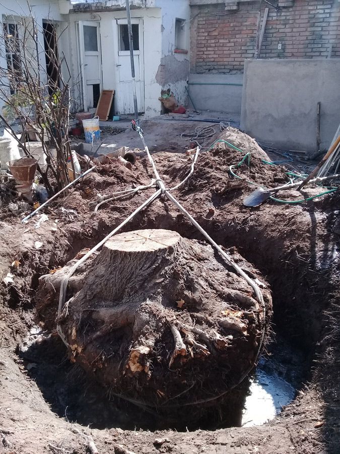 Un gran tocón de árbol está en un agujero en el suelo.