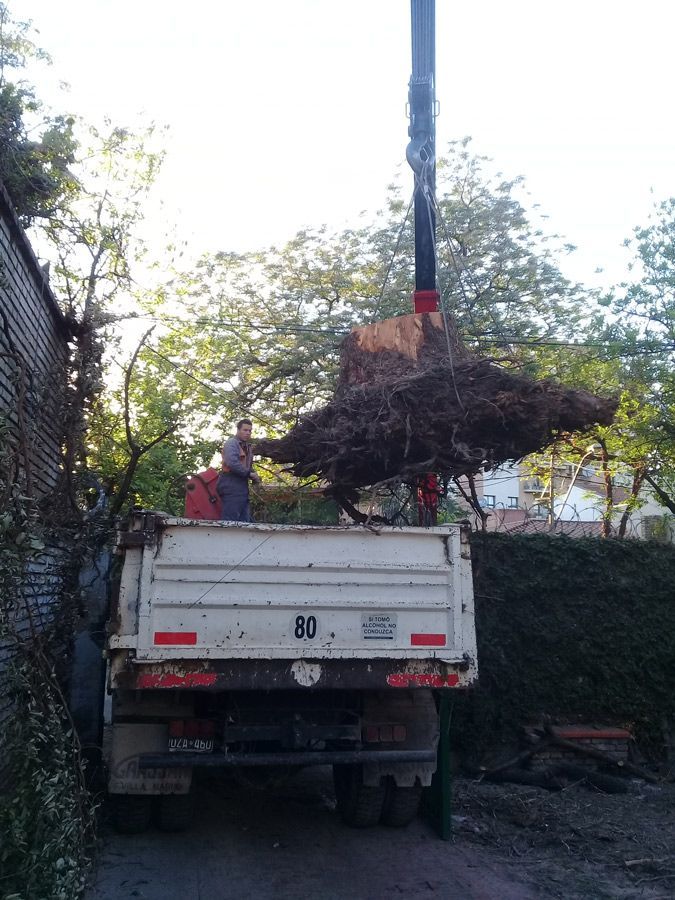 Un hombre está parado en la parte trasera de un camión con una grúa adjunta.