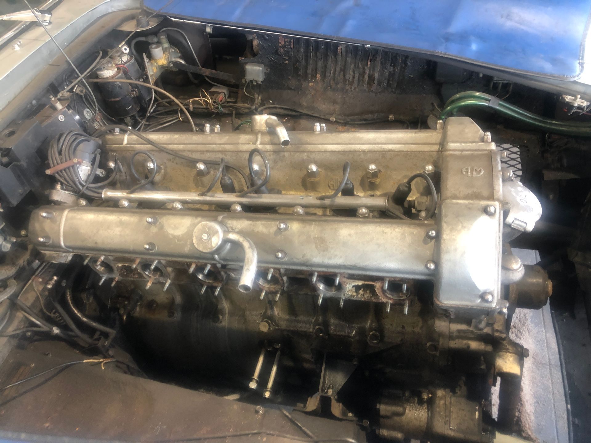 Un gros plan d'un moteur de voiture avec le capot ouvert.