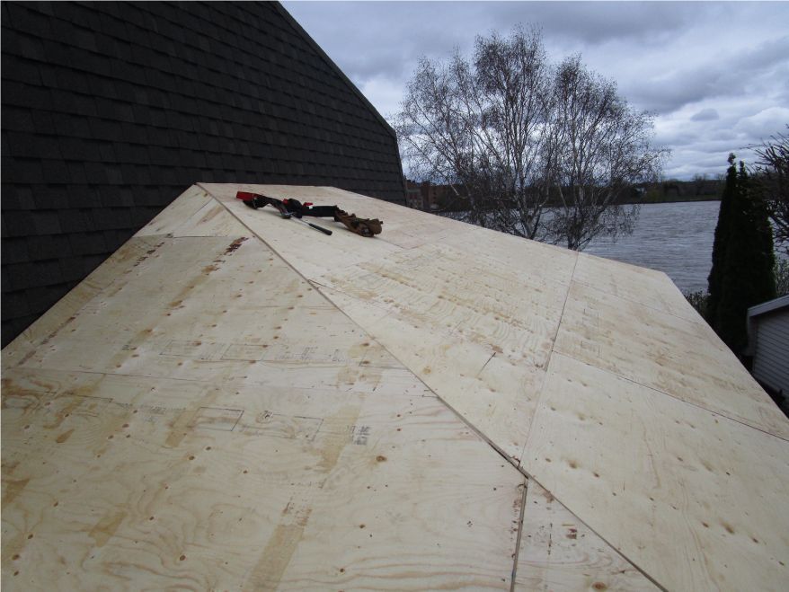 Toiture en contreplaqué en construction avec outils posés dessus. Vue sur l'eau et les arbres.