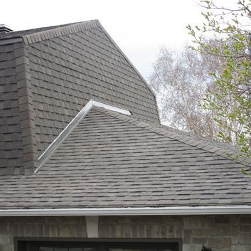 Toit en bardeaux gris avec une cheminée et un arbre en arrière-plan.