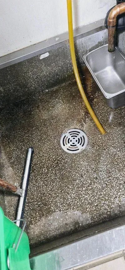 A sink with a drain and a hose coming out of it.