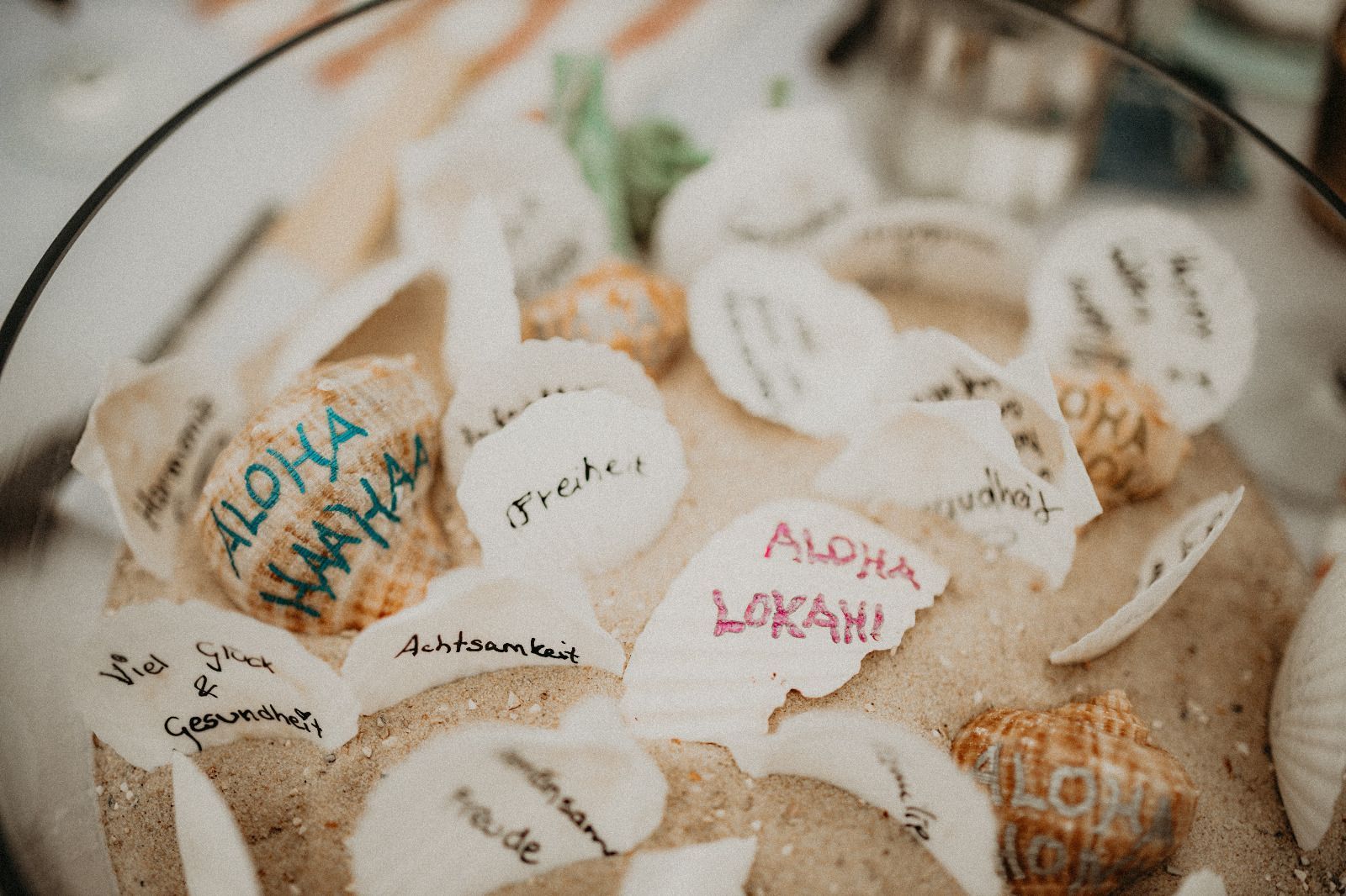 A close up of a bowl filled with sand and seashells.