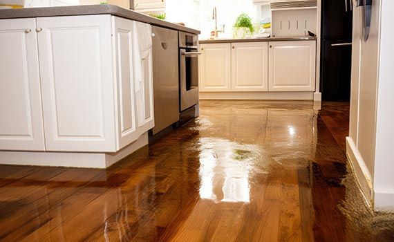 plumbing-leak-cleanup