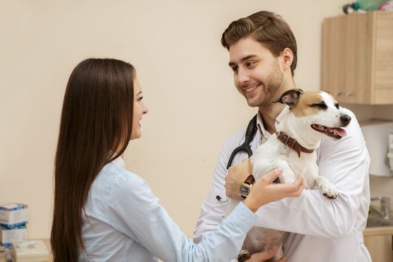 Woman and Vet Smiling, Holding Dog in a Veterinary Office — Yandina Vet Clinic in Yandina, QLD