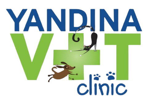Vet Clinic in Yandina