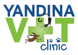 Vet Clinic in Yandina