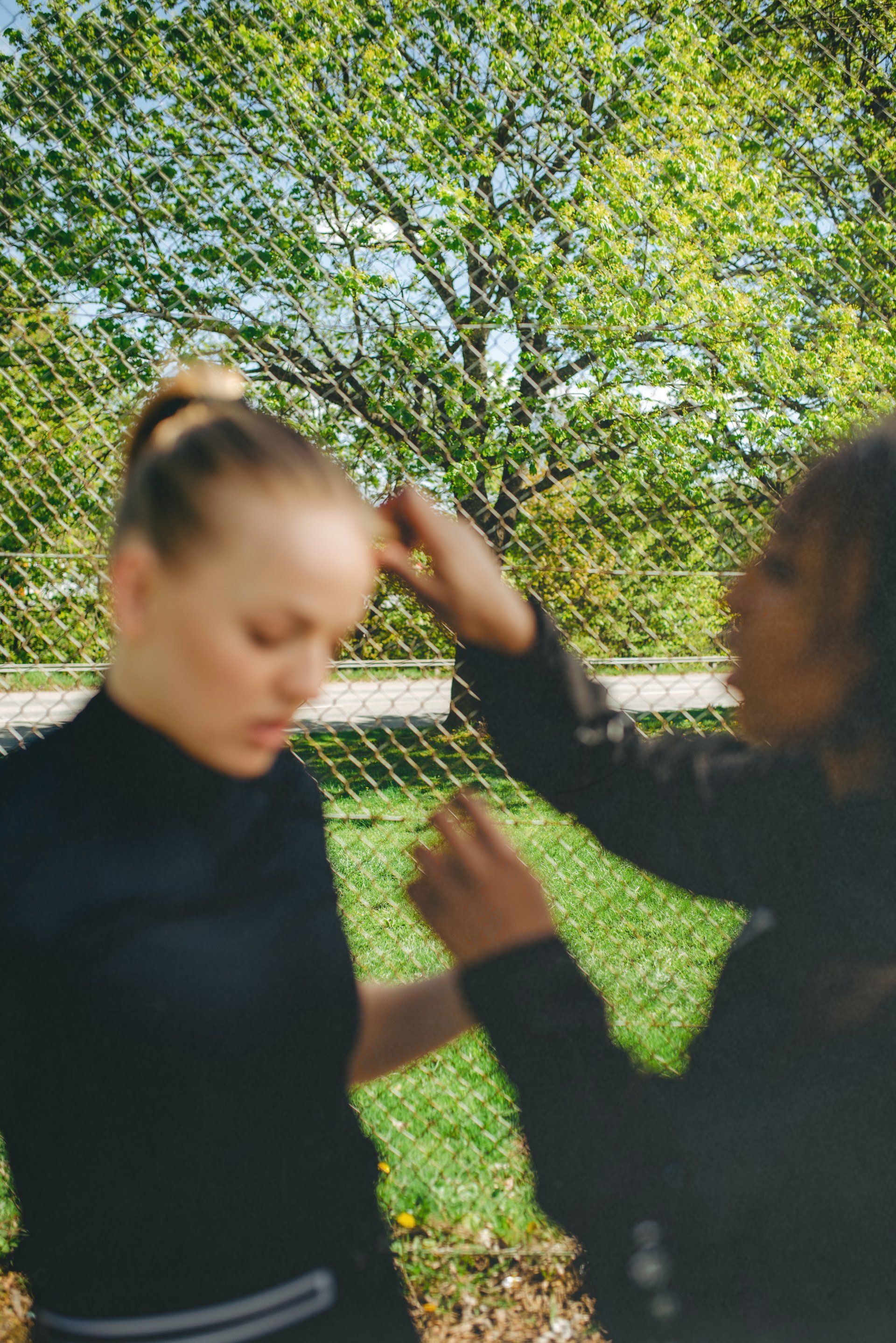 Röhnisch, anima jiujitsu, anima if