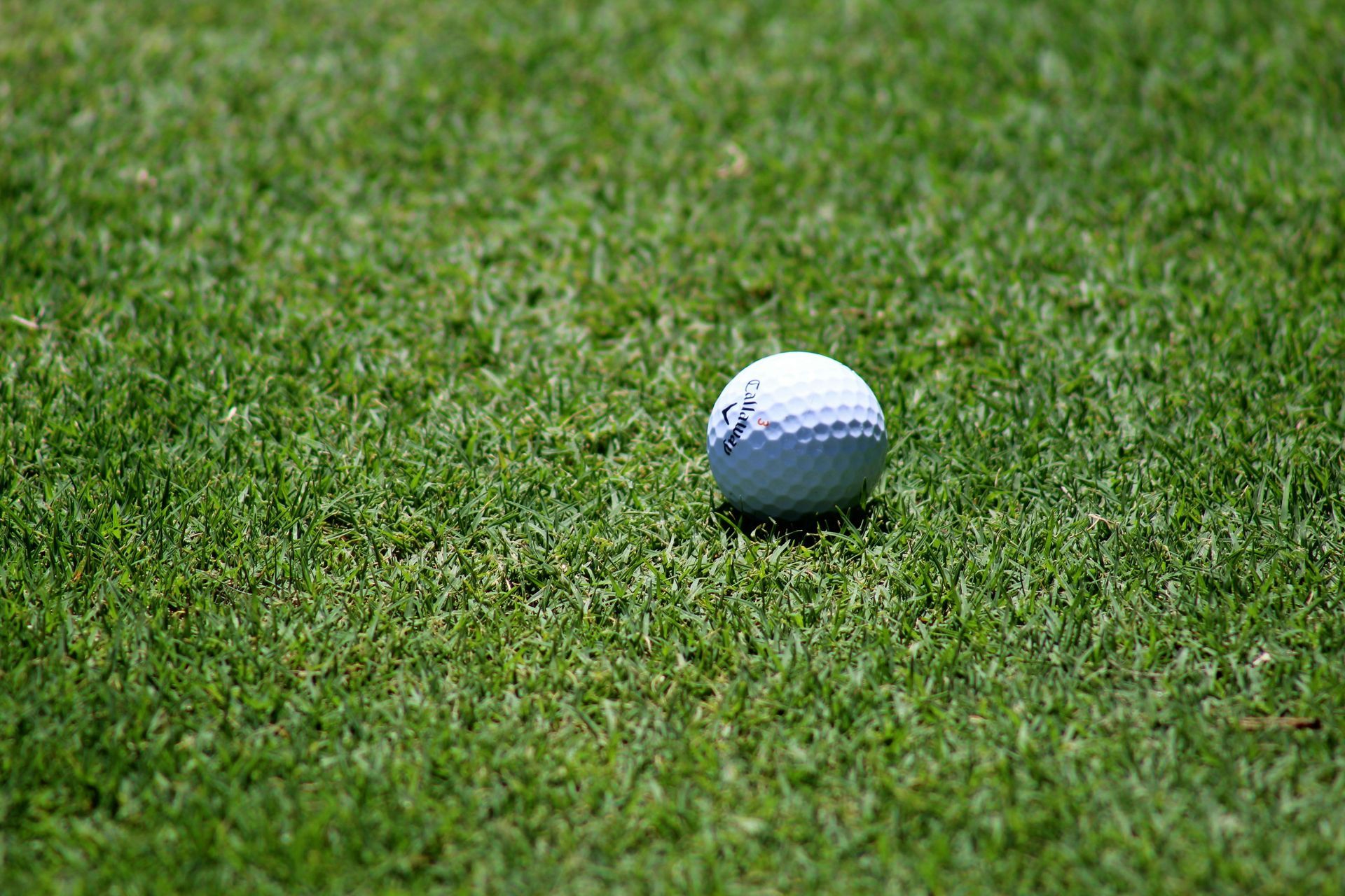 A golf ball is sitting on top of a lush green field.