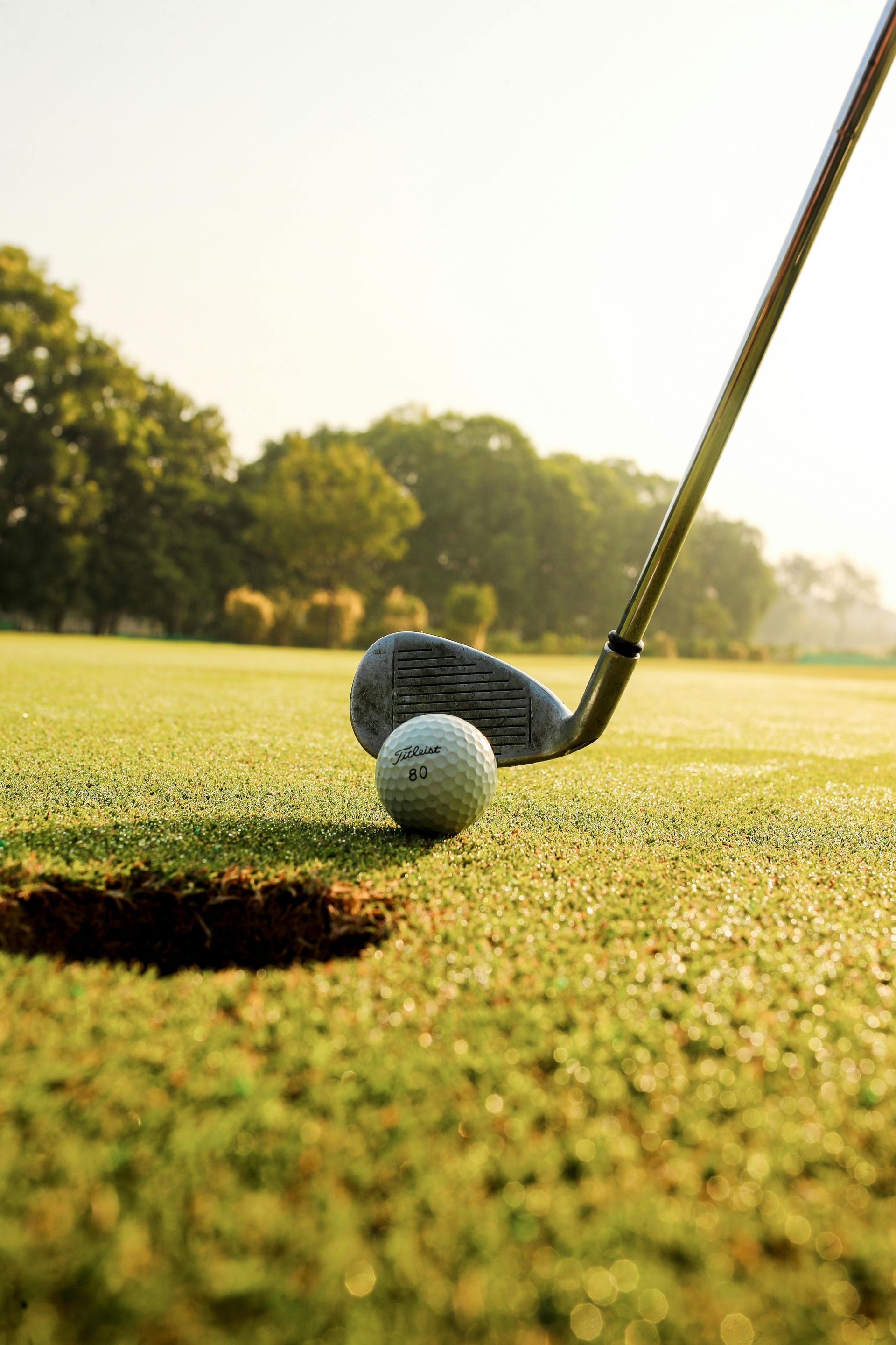 A golf ball is going into a hole on a golf course.