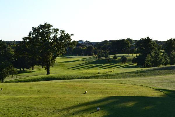 A golf course with trees and a ball on the green