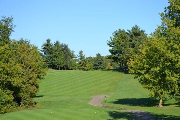 A golf course with trees and grass on a sunny day