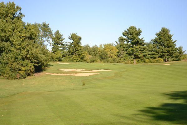 A golf course with trees and a blue sky in the background