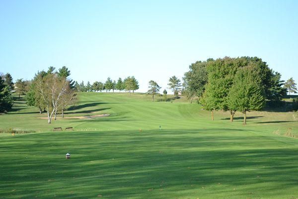 A golf course with trees and a blue sky in the background