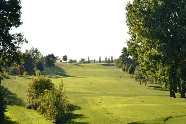 A golf course with a lot of green grass and trees