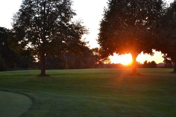 The sun is setting behind two trees on a golf course