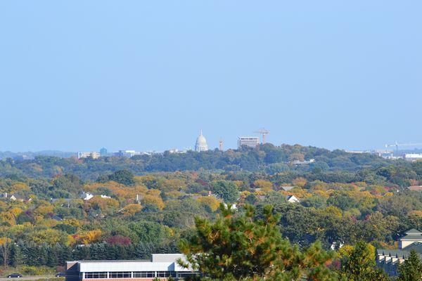 A view of the capitol building from a hill with trees in the foreground.