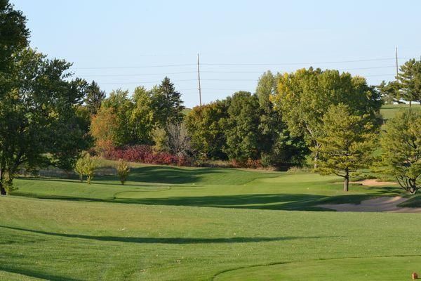 A golf course with a lot of green grass and trees
