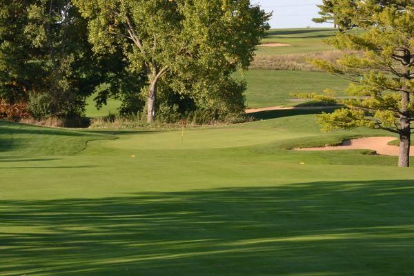 A golf course with a green and trees in the background