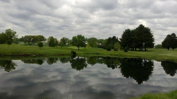 A pond with trees reflected in it and a cloudy sky in the background.