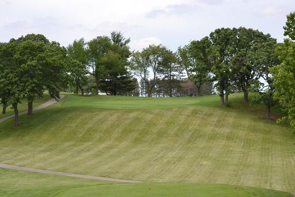 A golf course with a lot of grass and trees