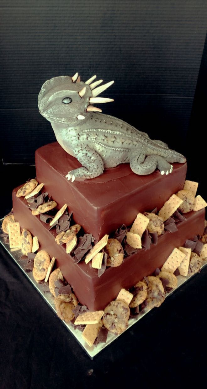 dallas affairs- grooms cake 51