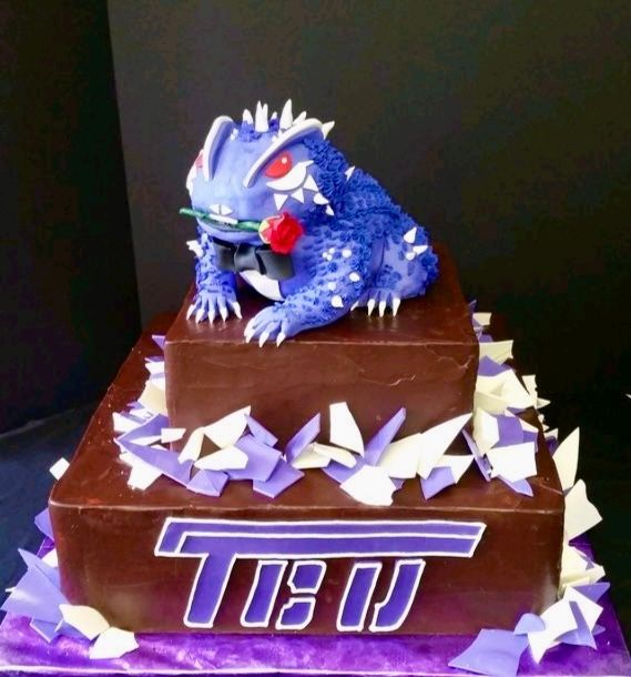 dallas affairs- grooms cake 27
