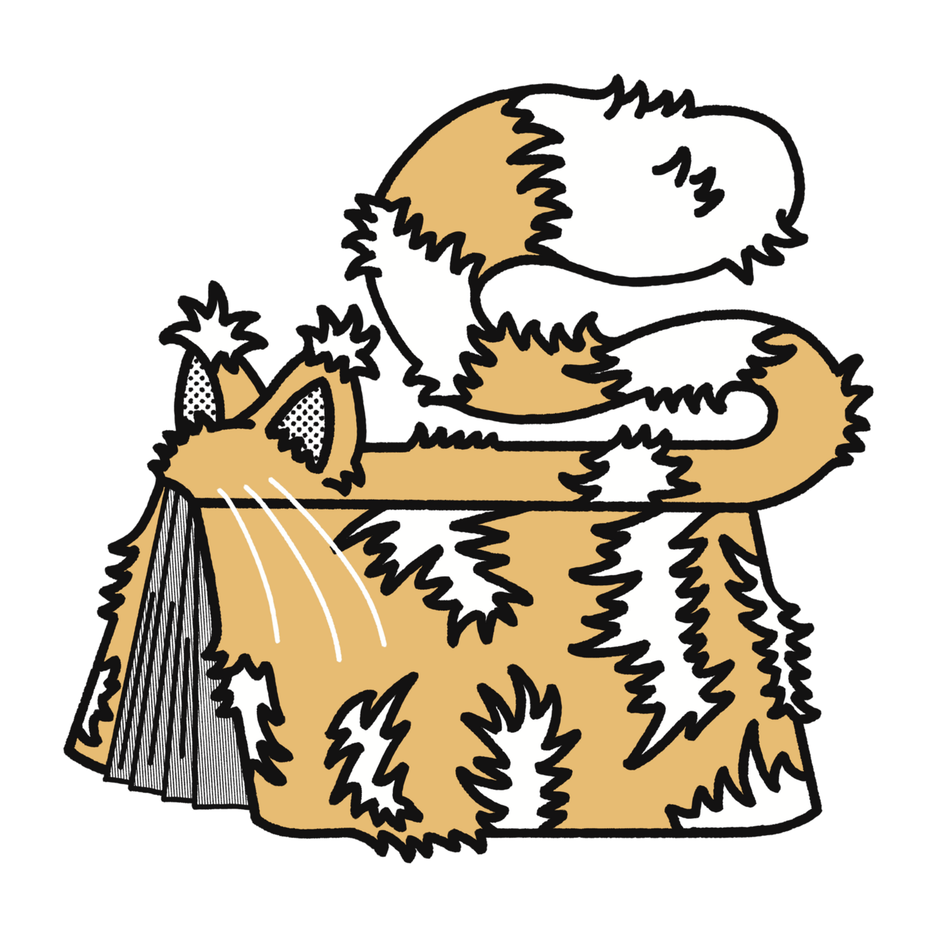 Haslam's Bootleg Sticker