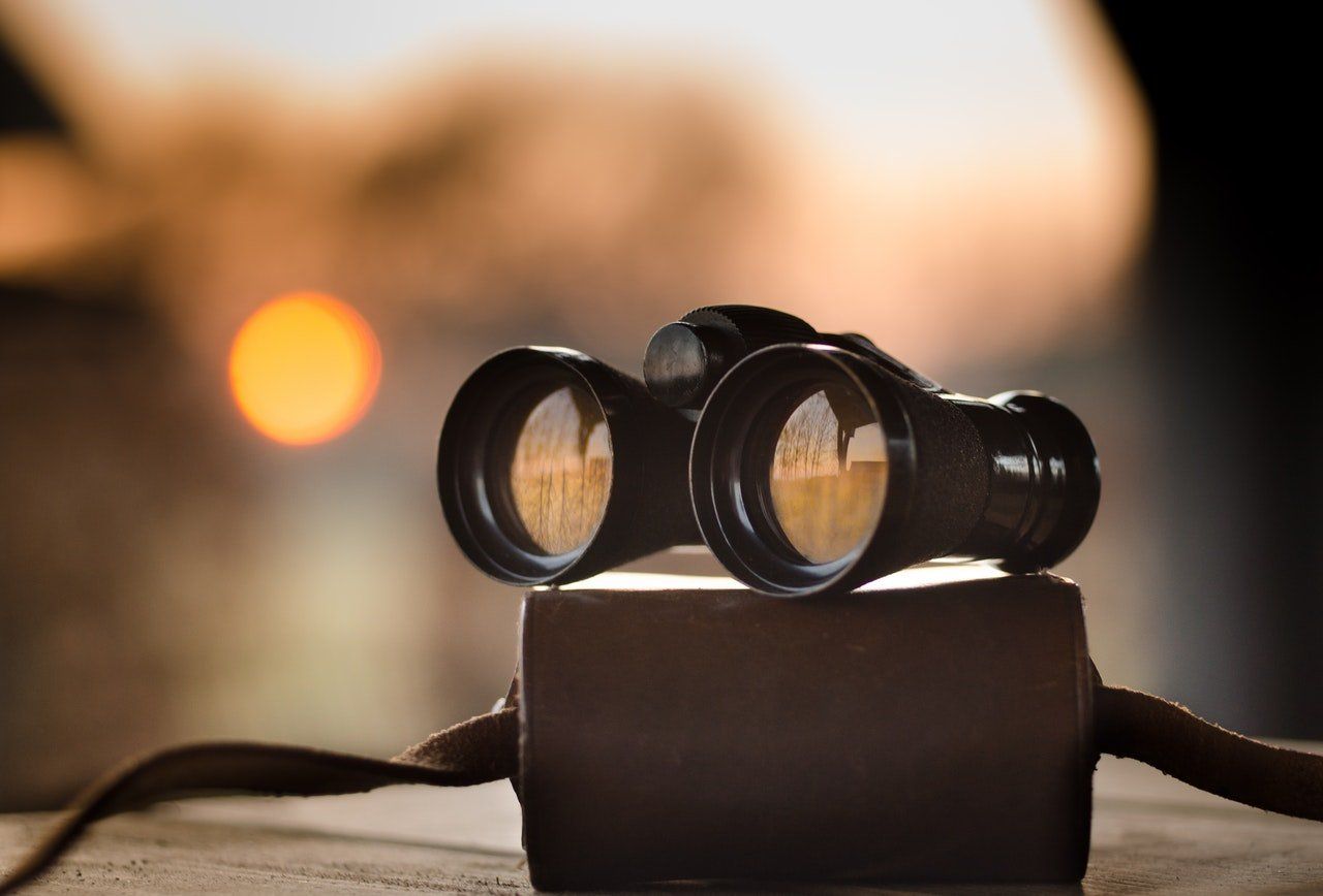 Finding your niche - binoculars