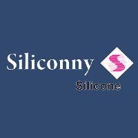 (c) Siliconny.com.br