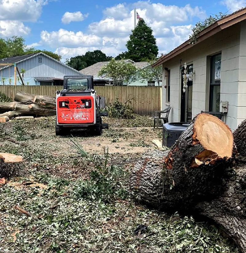 A Bobcat skid steer clearing debris in a backyard; cut tree trunk in foreground, fence and houses in background.