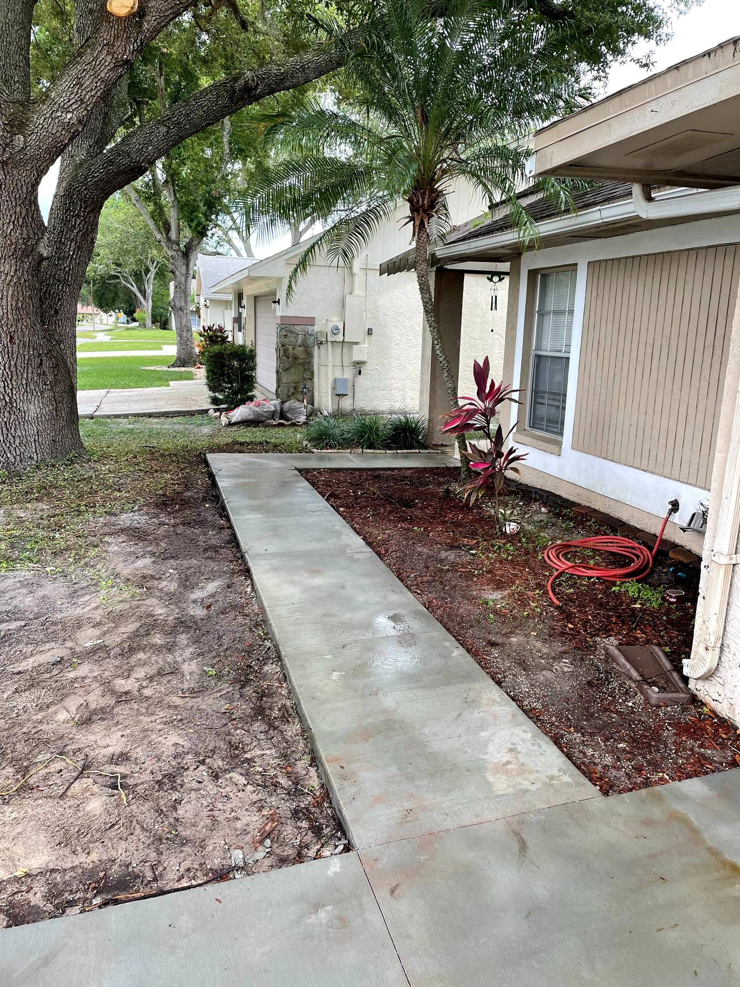 A concrete sidewalk leads to a light beige house with mulch and landscaping. A large tree is on the left.