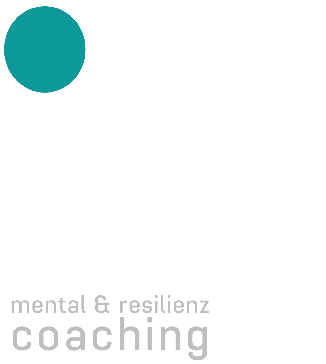 Logo Higher Feeling