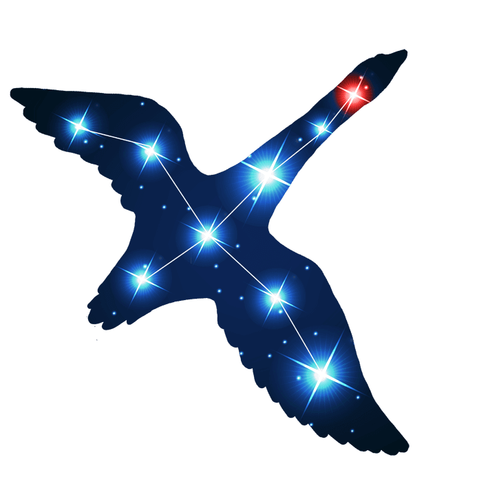 Cygnus Consultancy Services