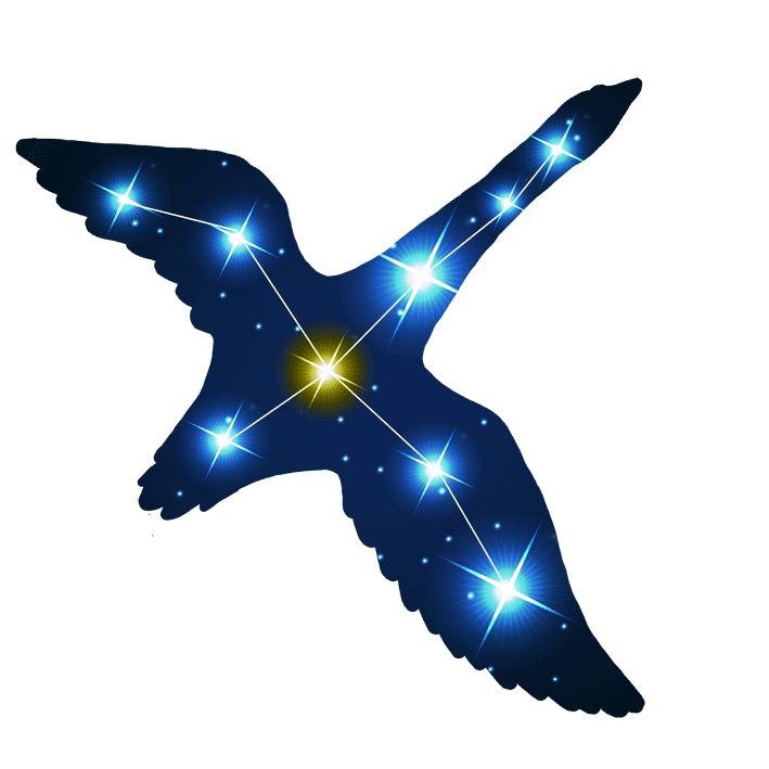 Cygnus SenseCheck logo