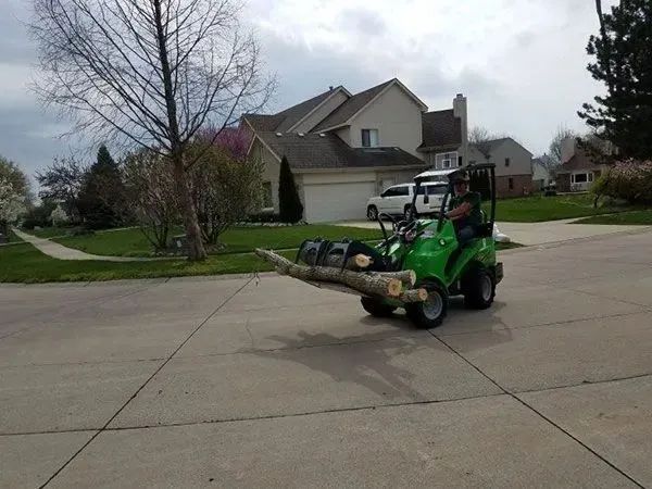 Precision Tree & Shrub Service 12