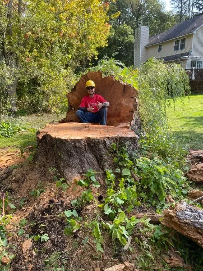 Man in yellow hard hat sits on large tree stump in backyard.