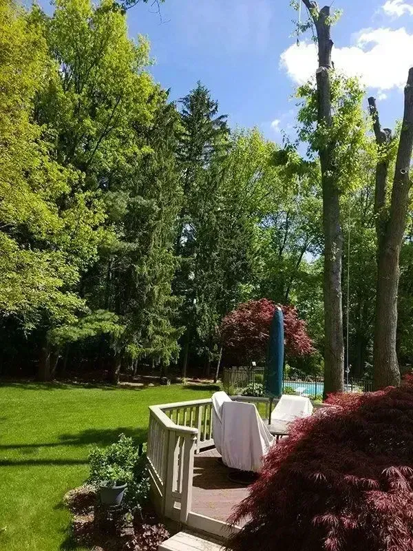 A backyard scene with a wooden deck, lawn, trees, and partial view of a pool under a blue sky.
