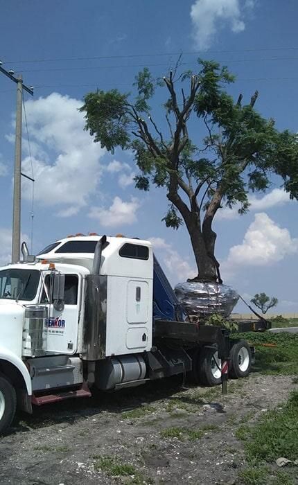 GRÚAS INDUSTRIALES ENKOR