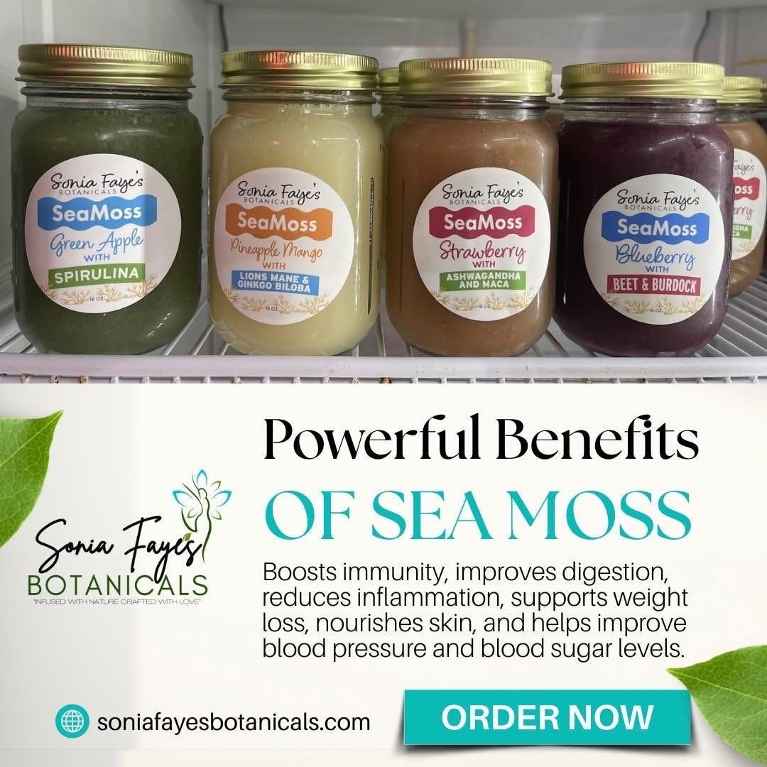 Four jars of sea moss are sitting on a shelf in a refrigerator.