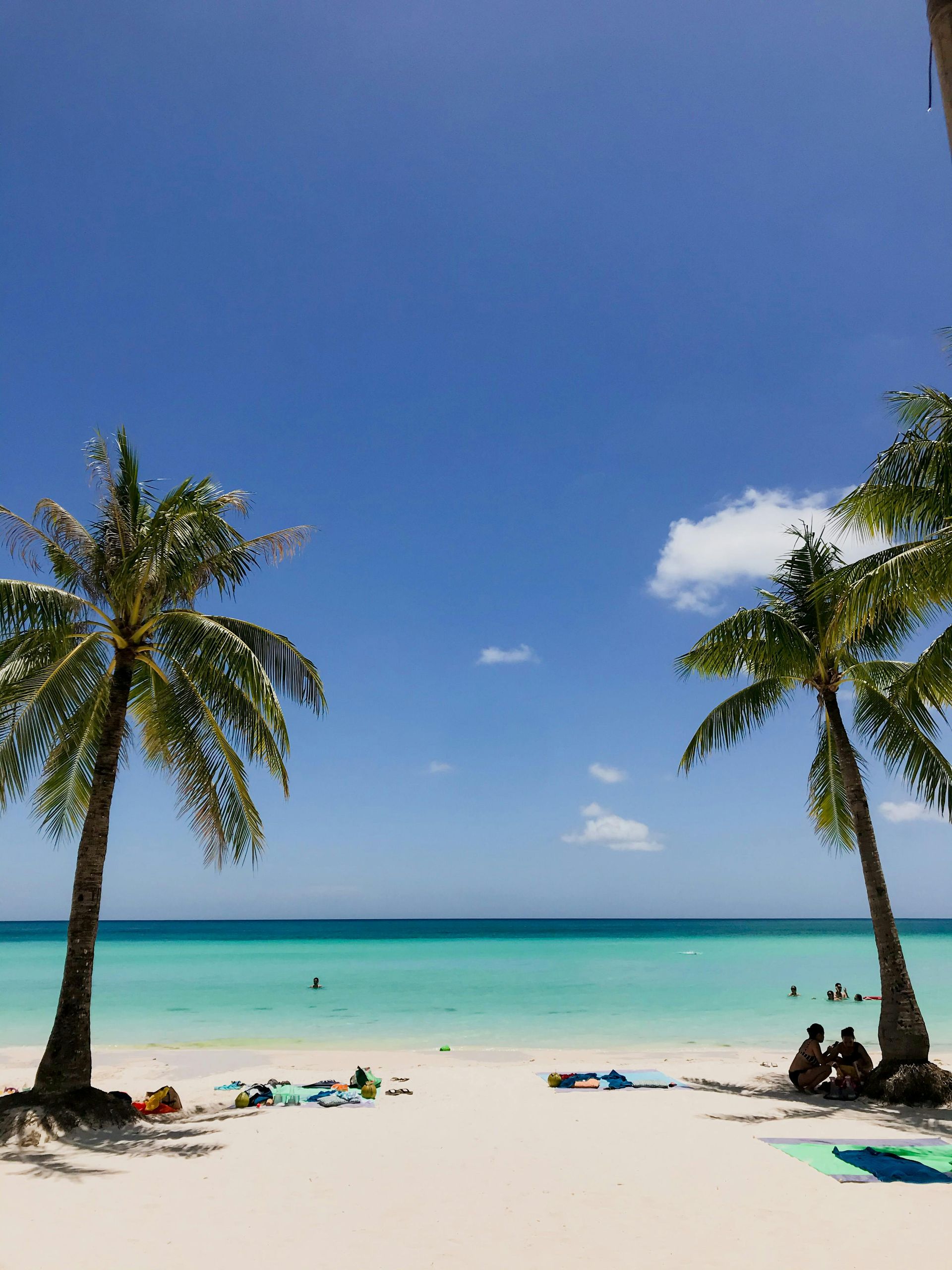 Palm trees frame a white sand beach, turquoise water, and a bright blue sky.
