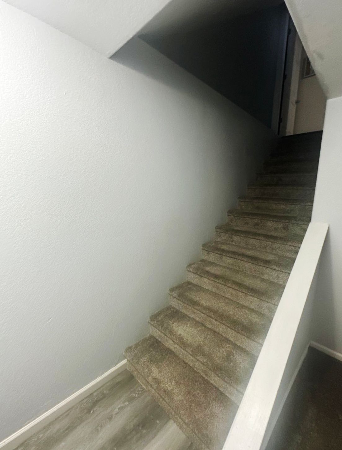 Staircase with carpeted steps leading upward, white walls and a white handrail on the right.